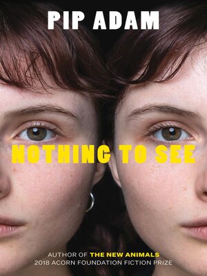 cover image of Nothing to See
